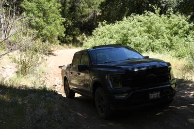 DSC_5901 (Large).JPG